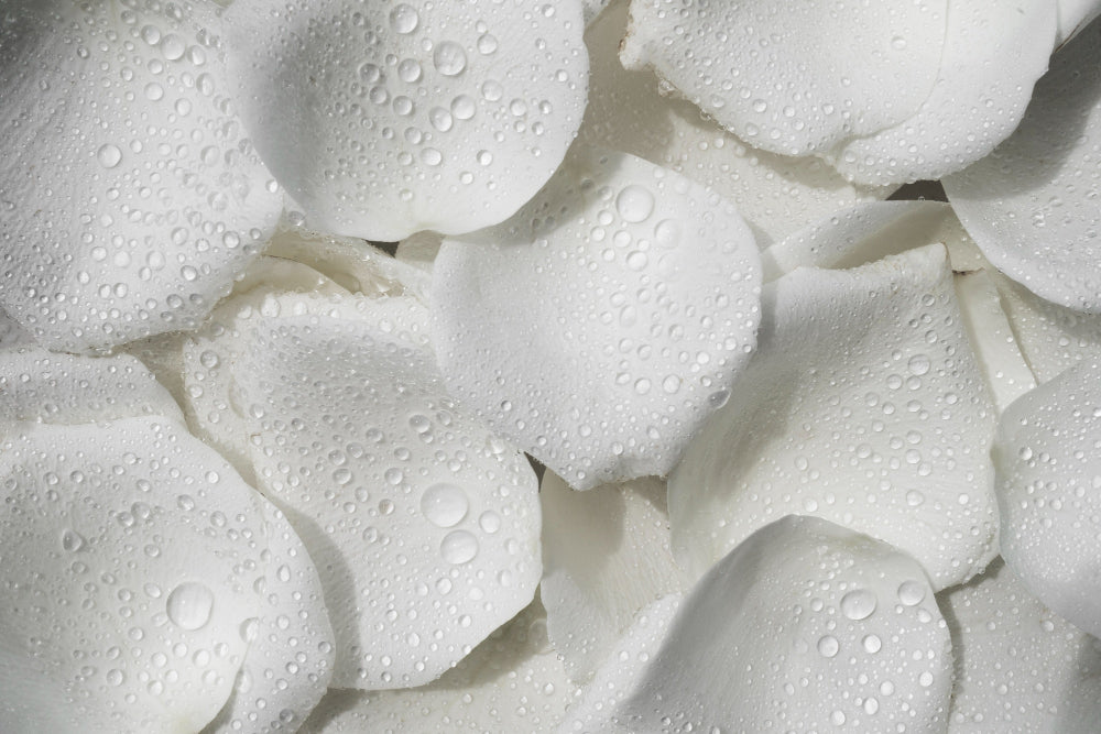 Cellulose Gum